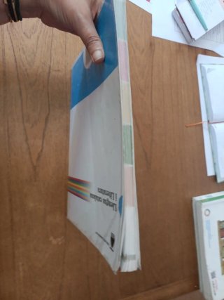 Puntal 1. Llengua catalana i Literatura 1 ESO