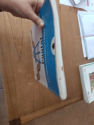Puntal 1. Llengua catalana i Literatura 1 ESO