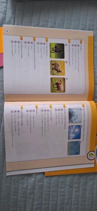 Libros de texto Lengua 3 primaria Edebe