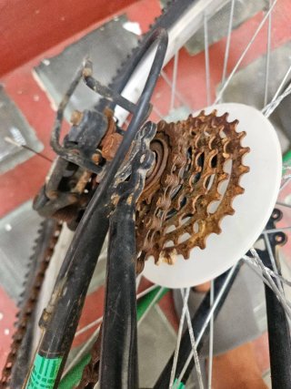 Bicicleta Montaña Rin 24 Negra y Verde