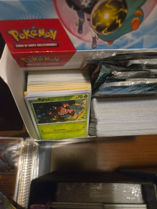 Carte Pokémon