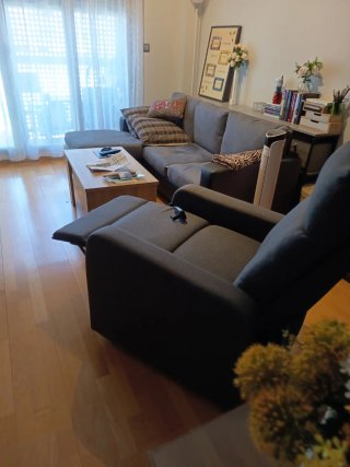 Sillón elevador FAUTEUIL RELEVEUR dos Moteurs