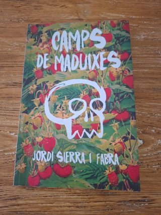 Camps de maduixes