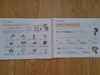 Lote libros 6 primaria