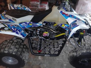 Suzuki LTR 450