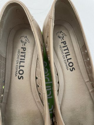 Zapatos Pitillos Beige y Dorado