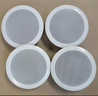 Altavoz Techo PENTON Profesional 100V Blanco
