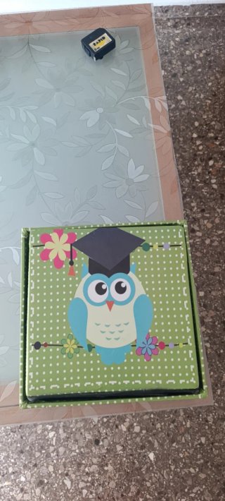 Puff infantil con búhos y birrete