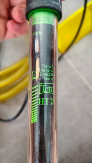 Calentador acuario Tetra HT200