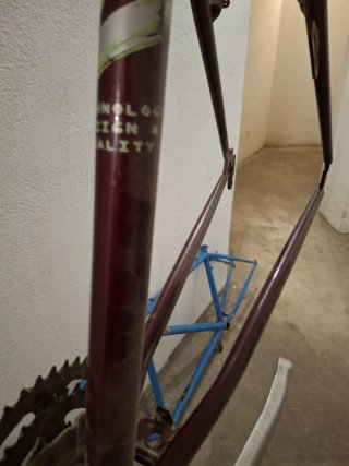 Cuadro Bicicleta Zeus Híbrida