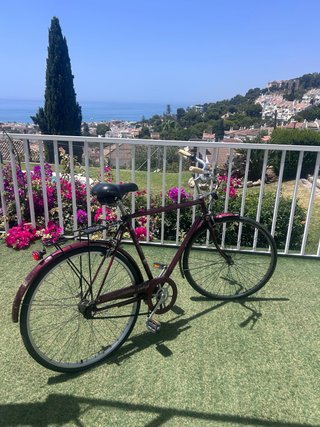Bicicleta Raleigh Vintage Paseo