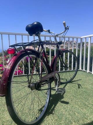 Bicicleta Raleigh Vintage Paseo