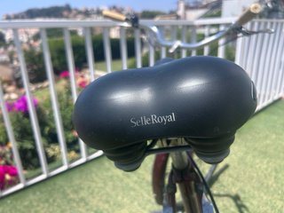 Bicicleta Raleigh Vintage Paseo