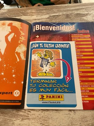 Álbum Panini Selección Española 2009