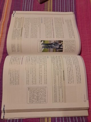 Lingua galega e literatura 1º Bach. Editorial Baía