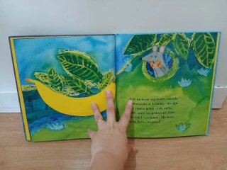 Libro infantil  El ratón que se comió la luna