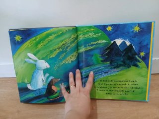 Libro infantil  El ratón que se comió la luna