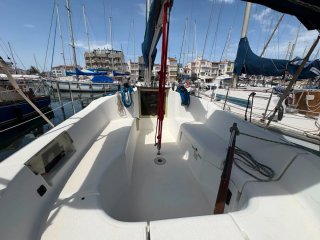 Velero Sun Odissey 29.2