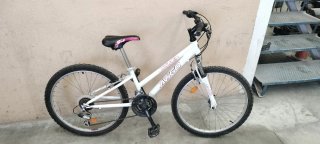 Bicicleta niña Avigo Stylin