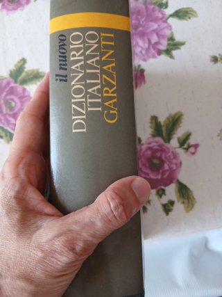 dizionario italiano Garzanti