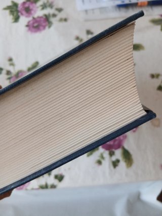 dizionario italiano Garzanti