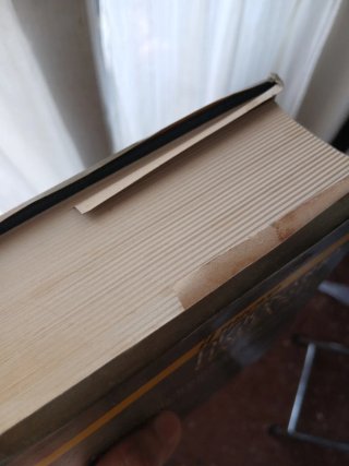 dizionario italiano Garzanti