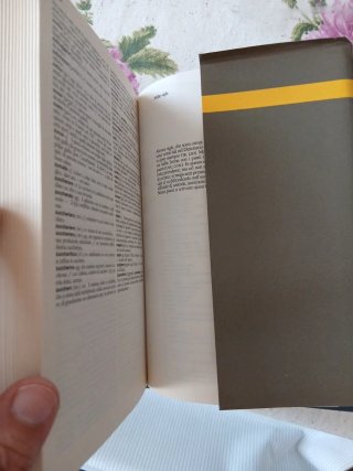 dizionario italiano Garzanti