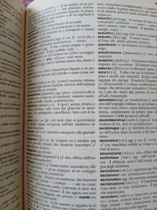 dizionario italiano Garzanti