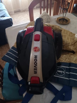 Aspiradora Hoover Lander sin bolsa
