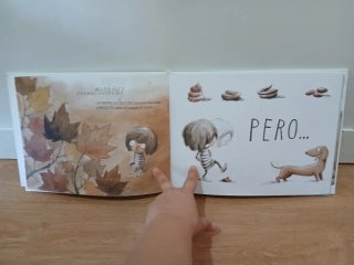 Libro infantil  ¿De qué color es un beso? (Rocío B