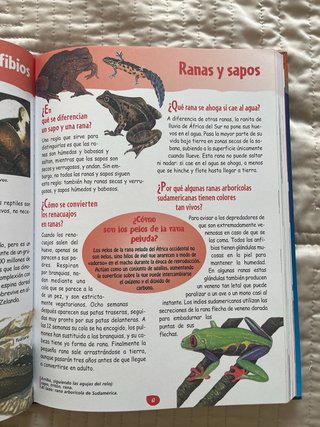 Gran libro de el porqué de las cosas