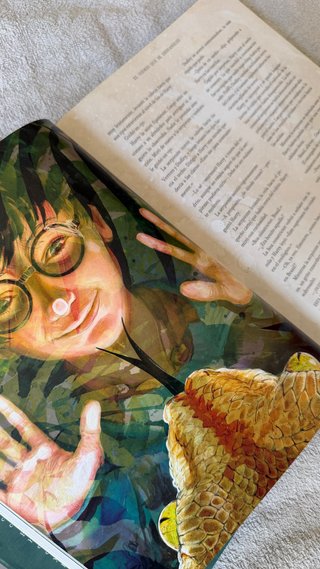 Harry Potter Ilustrado Jim Kay Pack 3 Libros