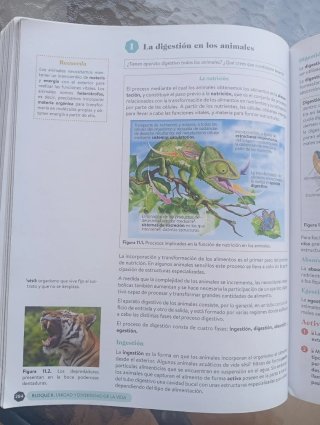 Libro de Biología, Geología y Ciencias Ambientales