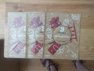 Matemáticas 3 Prim 3 trimestres