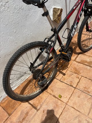 Bicicleta 24