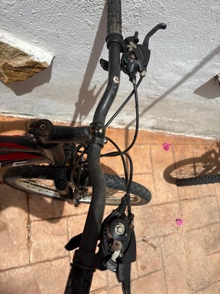 Bicicleta 24