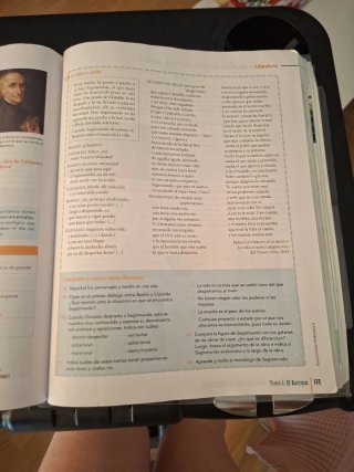 Lengua castellana y literatura