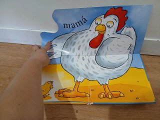Libros colección El pollo Pepe