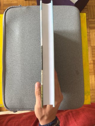 Matar un ruiseñor (la novela gráfica)