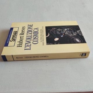 L'evoluzione cosmica