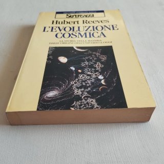 L'evoluzione cosmica