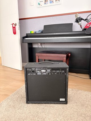 Amplificador Fender G-DEC Thirty Digital