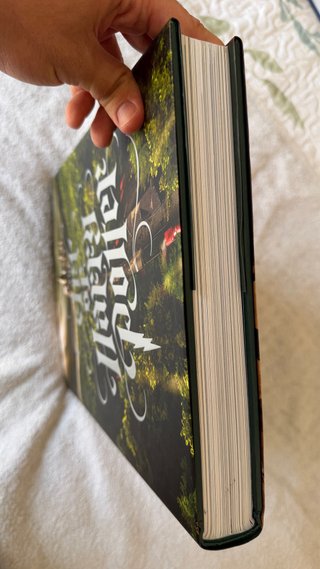 The Art of Harry Potter Art Book