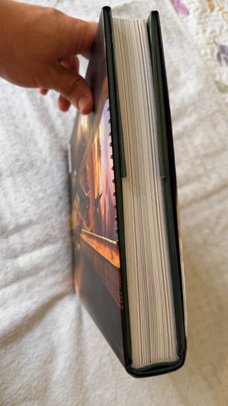 The Art of Harry Potter Art Book