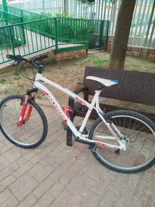 Bicicleta de montaña