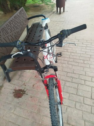 Bicicleta de montaña
