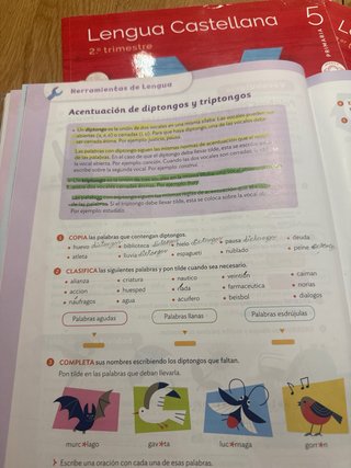 Lengua castellana, 5 Primaria