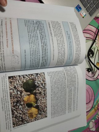 Libro acceso a la universidad mayores 25