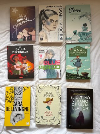 Lote de libros, novelas visuales y manga