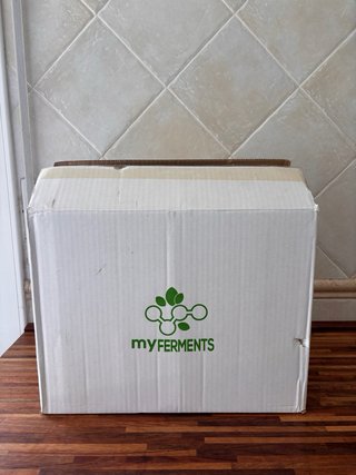 Kit Kombucha: Botellas y Jarra